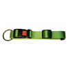 MIAMI halsband  appelgroen 20 mm  verstelbaar 40 - 55 cm