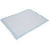 Trainingspad 60x45cm voor puppytoilet