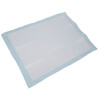 Trainingspad 60x45cm voor puppytoilet