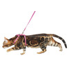Laisse-harnais pour chat nylon pink/noir  120cm  3pcs
