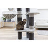 Arbre a chat Benji 70X70X146cm  grands chats