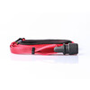 Guide LeashgoLeyGo Flat red   Adapter Pin  10mm x 140-200cm