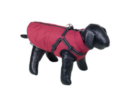 Dog coat  SALUS 2 in 1    23 cm