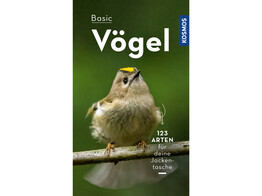 Basic Vogel