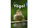 Basic Vogel