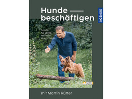 Rutter  Hunde beschaftigen