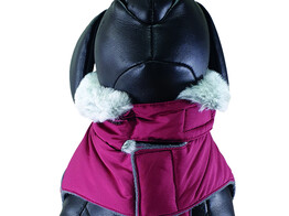 Dog coat   ALVA    20 cm