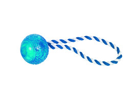 TPR Ball with rope   26cm